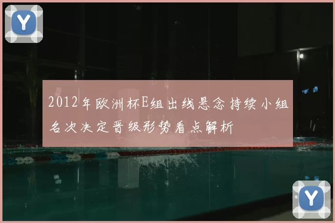 2012年欧洲杯E组出线悬念持续小组名次决定晋级形势看点解析