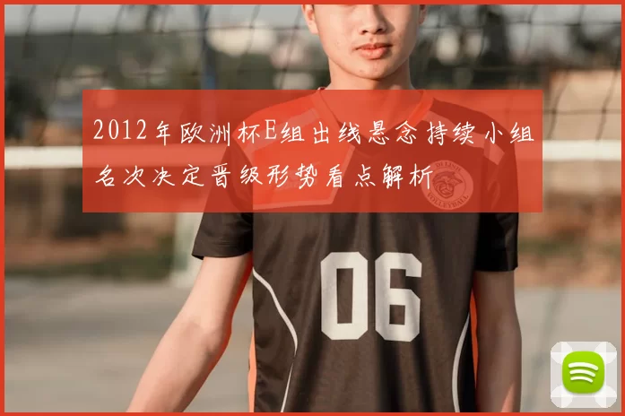 2012年欧洲杯E组出线悬念持续小组名次决定晋级形势看点解析