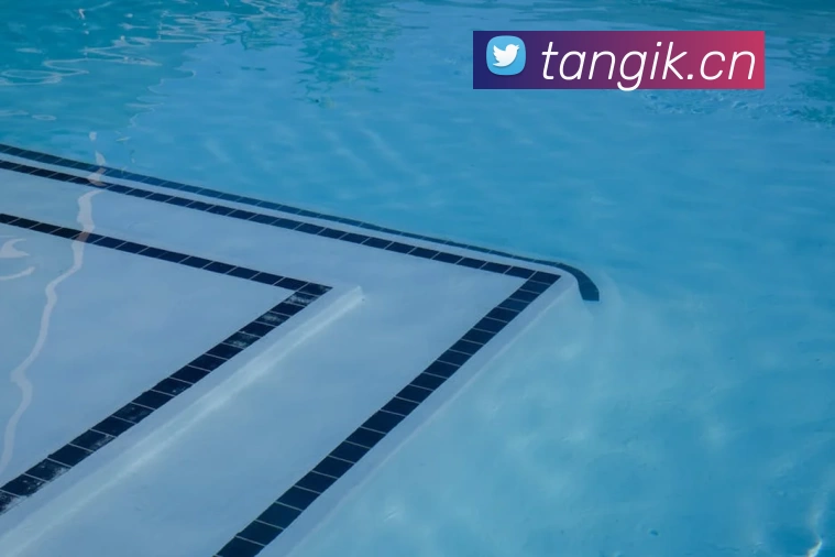 九游网页版入口平台生态图