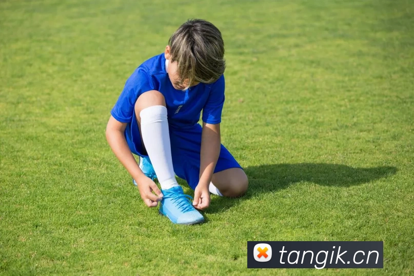 九游网页版入口全站App 九游网页版入口全站App