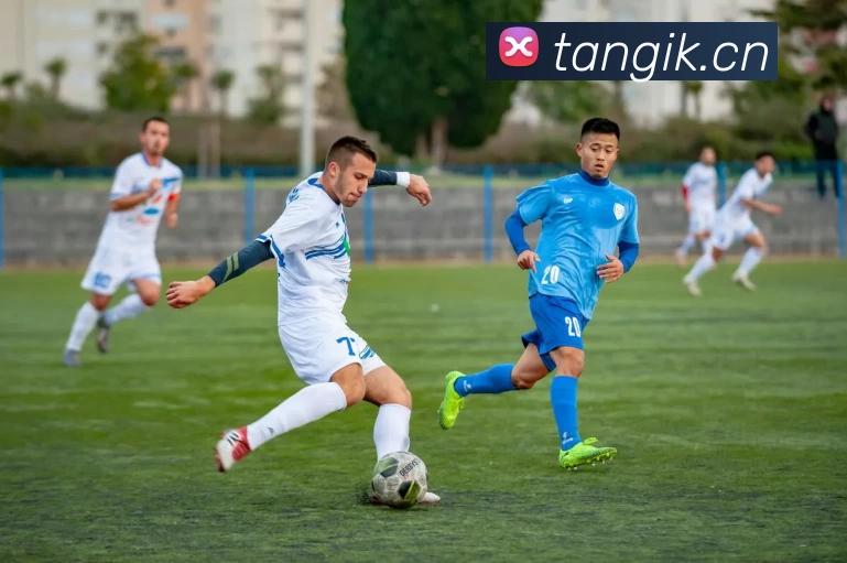 辅助工具 辅助工具